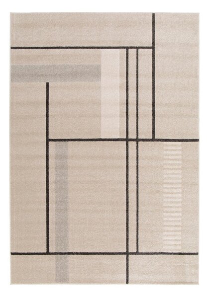 Бежов килим 120x170 cm Domus – Universal