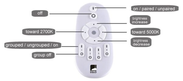 Eglo 75565 - LED Димируем панел BOTAZZO LED/25W/230V 2700-5000K + д.у
