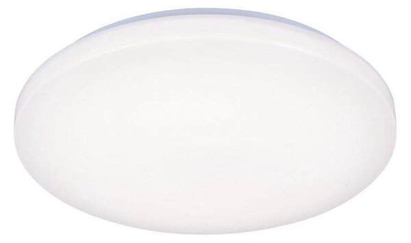 LED Лампа OPAL LED/50W/176-264V