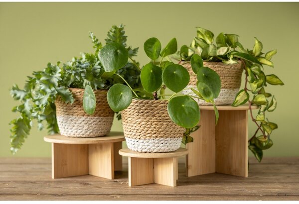 Бамбукова стойка за цветя ø 18 cm – Esschert Design