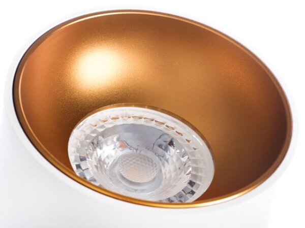 Kanlux 27570 - Спот RITI 1xGU10/10W/230V бял/златист