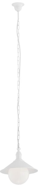 Argon 3296 - Екстериорна Полилей ERBA BIS 1xE27/60W/230V