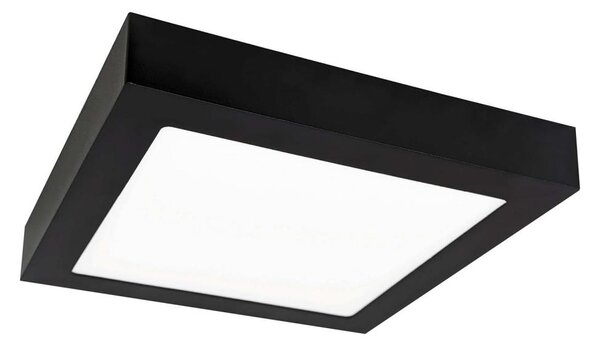 LED Лампа FENIX LED/12W/230V 2800K 17 cm