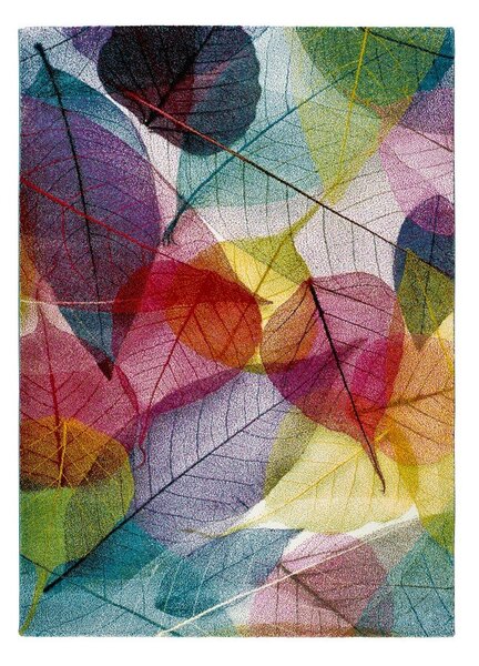 Килим Universal Colors Multi, 120 x 170 cm