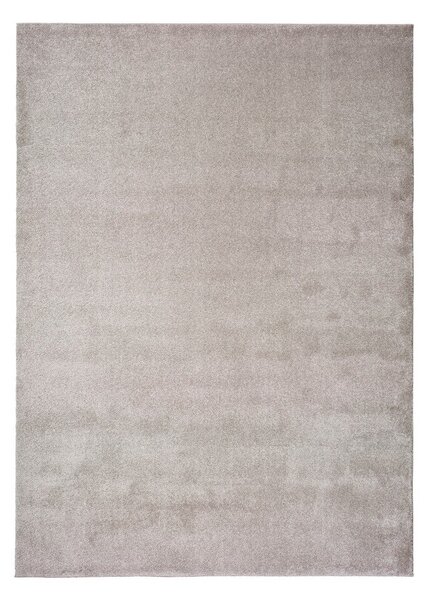 Светлосив килим Montana, 120 x 170 cm - Universal