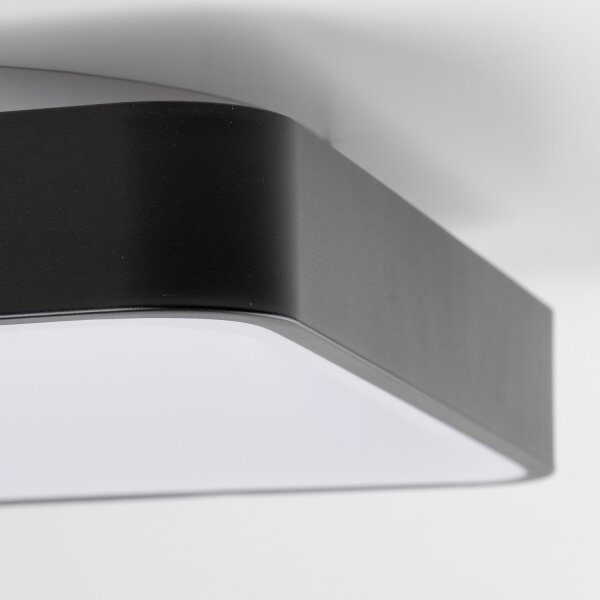 Brilagi - LED димируемо таванно осветително тяло FALCON II LED/80W/230V 40x40 cm черно + дистанционно управление
