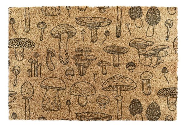 Изтривалка от кокосови влакна 40x60 cm Mushrooms – Artsy Doormats