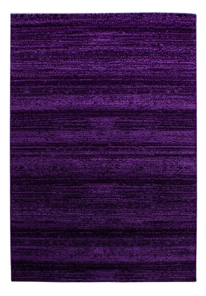 Тъмнолилав килим 160x230 cm Plus – Ayyildiz Carpets