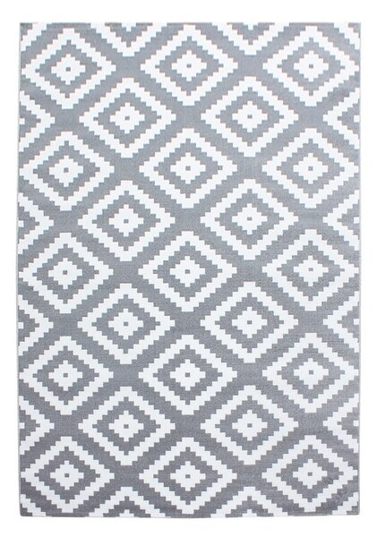 Светлосив килим 160x230 cm Plus – Ayyildiz Carpets