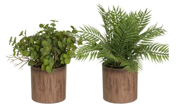 Изкуствени растения в комплект от 2 бр. (височина 22 cm) – Casa Selección