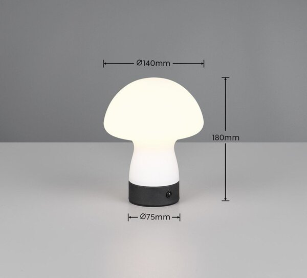 LED настолна лампа в матово бял цвят със стъклен абажур (височина 18 cm) Dooley – Reality