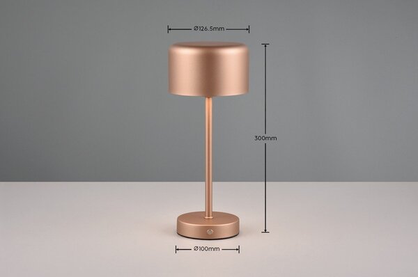 LED настолна лампа с възможност за димиране от мед (височина 30 cm) Jeff - Reality