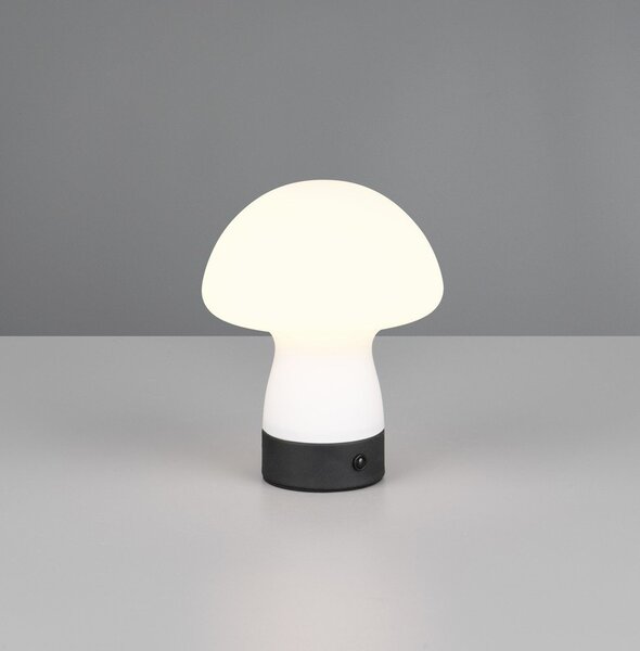 LED настолна лампа в матово бял цвят със стъклен абажур (височина 18 cm) Dooley – Reality