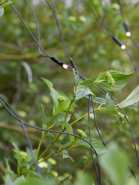 Markslöjd 108178-LED Външна коледна завеса GARDEN24 160xLED/24V 2x2m топла бяла