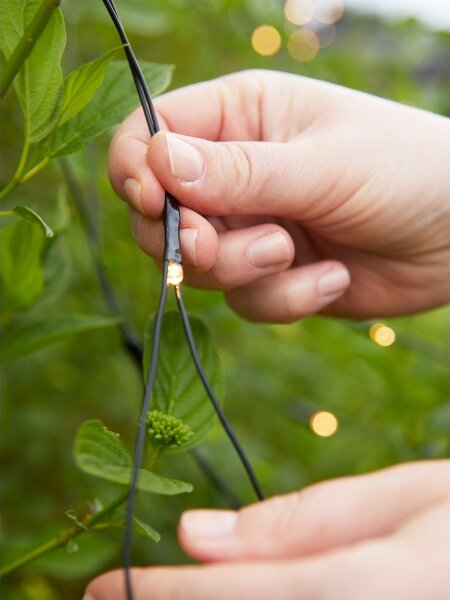 Markslöjd 108178-LED Външна коледна завеса GARDEN24 160xLED/24V 2x2m топла бяла