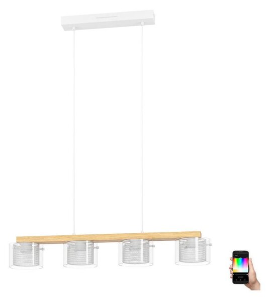 Eglo 900881 - LED RGBW Димируем пендел PORTICO-Z 4xLED/3,7W/230V