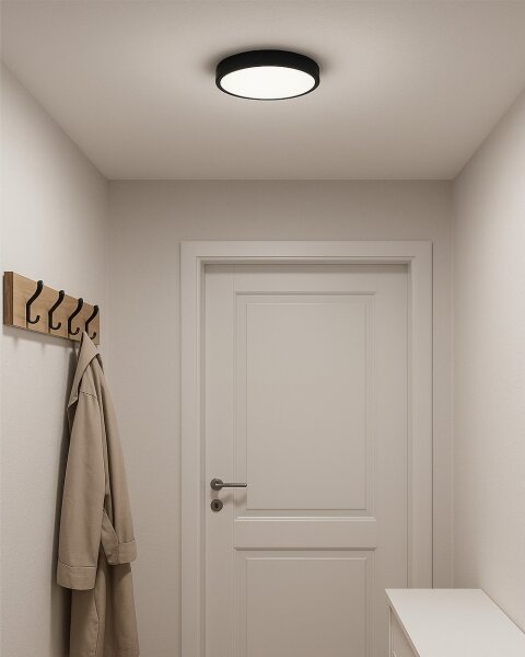 LED таванно осветително тяло LED/24W/230V 3000/4000/6500K Ø 30 см черно