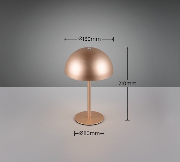 LED настолна лампа в бронзов цвят с метален абажур (височина 21 cm) Munoz – Reality