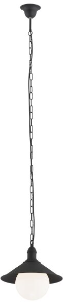 Argon 3285 - Екстериорна Полилей ERBA BIS 1xE27/60W/230V