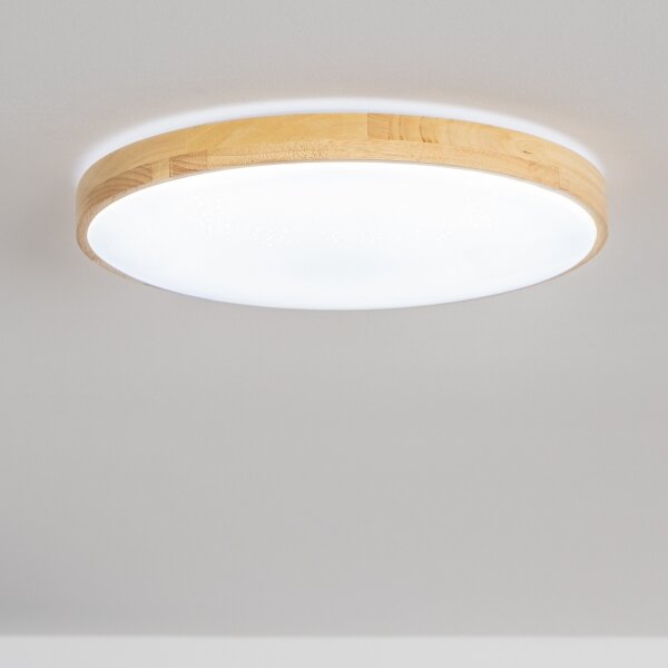 Brilagi - LED димируемо таванно осветително тяло PINE LED/24W/230V + дистанционно управление
