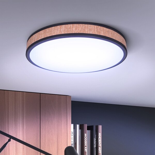 Brilagi - LED регулируемо таванно осветление ROSA LED/48W/230V 3000-6500K + DO