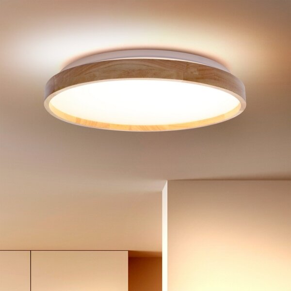 Brilagi - Димируемо LED таванно осветително тяло ALSON LED/48W/230V 3000-6500K + с дистанционно управление