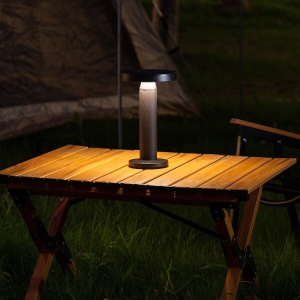 Zuma Line DT33611 - LED соларна лампа CARLI LED/2W/2000 mAh IP44 черна