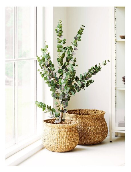 Комплект саксии 2 бр. от морска трева ø 46 cm Eden – House Nordic