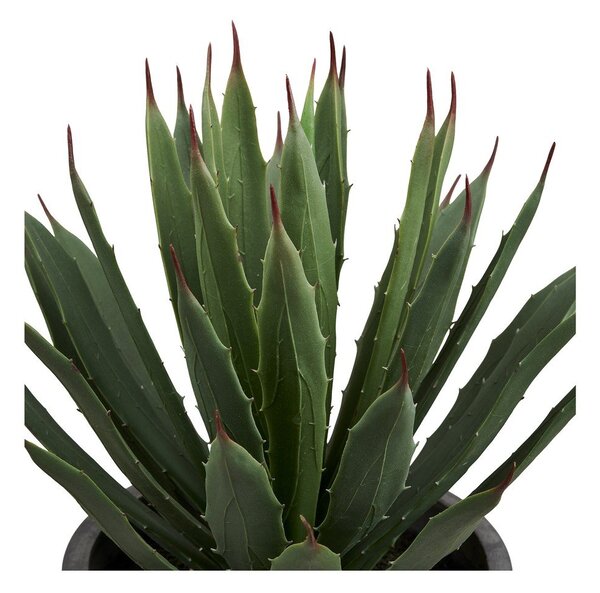 Изкуствено цвете (височина 41 cm) Agave – House Nordic