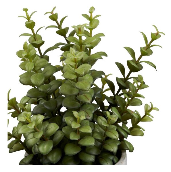 Изкуствено цвете (височина 33,5 cm) Succulent – House Nordic