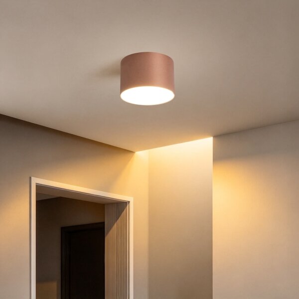 BRILAGI - Плафон за баня FORIS LED/9W/230V Ø 9 см бронзов IP44