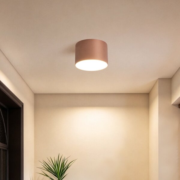 BRILAGI - Плафон за баня FORIS LED/9W/230V Ø 9 см бронзов IP44