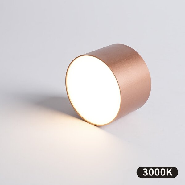 BRILAGI - Плафон за баня FORIS LED/9W/230V Ø 9 см бронзов IP44