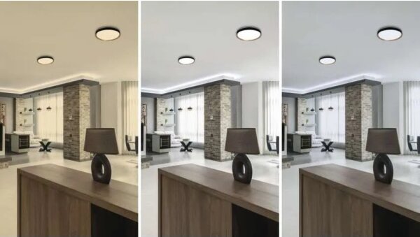 LED димируемо таванно осветително тяло ILVI LED/30W/230V 2700-6500K Ø 40 см черно/бежово + с дистанционно управление