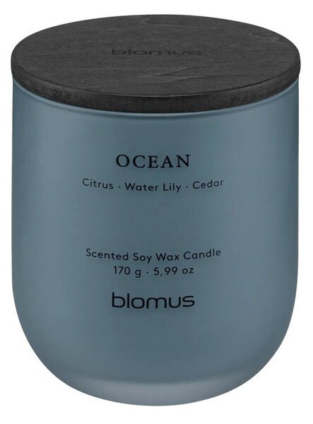 Ароматна свещ от соев восък време на горене 35 час Tuoksu Ocean – Blomus