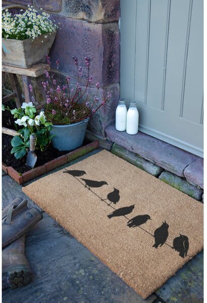 Изтривалка от кокосови влакна 40x60 cm Birds On a Wire – Artsy Doormats