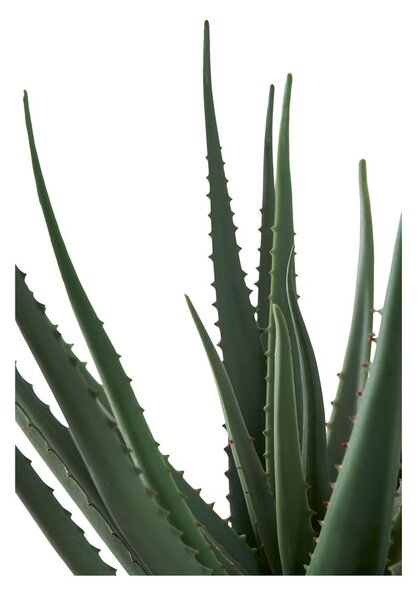 Изкуствено растение (височина 51 cm) Aloe Vera – House Nordic