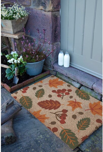 Изтривалка от кокосови влакна 40x60 cm Autumn Leaves – Artsy Doormats