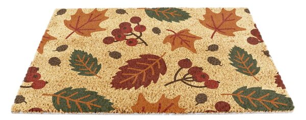 Изтривалка от кокосови влакна 40x60 cm Autumn Leaves – Artsy Doormats