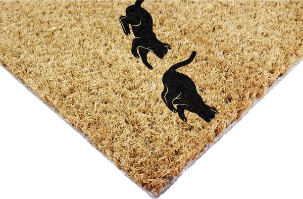 Изтривалка от кокосови влакна 40x60 cm Jumping Cats – Artsy Doormats