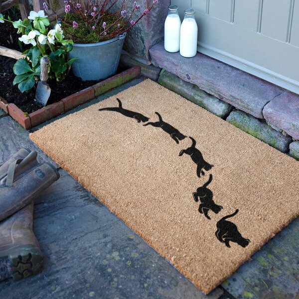 Изтривалка от кокосови влакна 40x60 cm Jumping Cats – Artsy Doormats