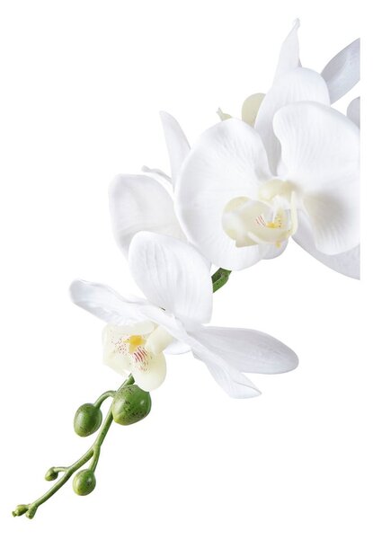 Изкуствено цвете (височина 47 cm) Orchid – House Nordic