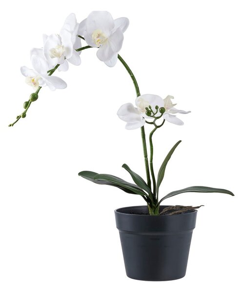 Изкуствено цвете (височина 47 cm) Orchid – House Nordic