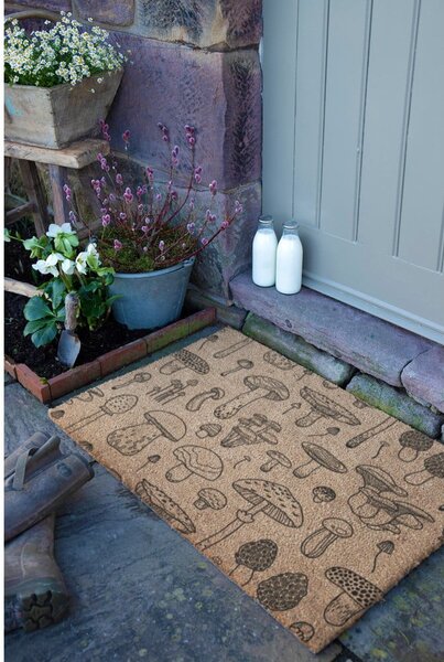 Изтривалка от кокосови влакна 40x60 cm Mushrooms – Artsy Doormats