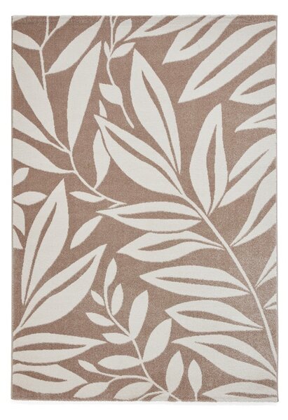 Светлокафяв килим 80x150 cm Sorral Leaves – Catherine Lansfield