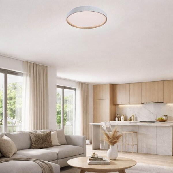 Rabalux 71453 - Димируемо LED таванно осветително тяло ZERAVA LED/60W/230V 3000-6500K Ø 58 см + ДУ