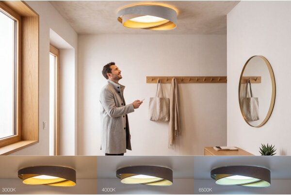 LED димируемо таванно осветително тяло SM. GALAXY M. 24W/230V Ø 55 cm сив/бежов/златист + дистанционно управление