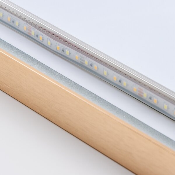 BRILAGI-LED Огледало за баня ERBA LED/25W/230V 50x80 cm златно IP44 CRI 90 с димер + CCT