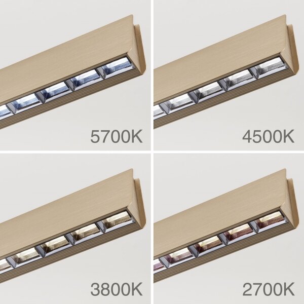 Orion HL 6-1716/120 - LED регулируема лампа TARA LED/44W/230V златна