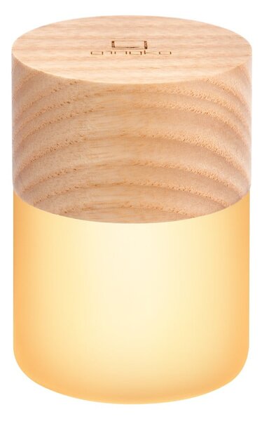 Светлинна декорация с USB в естествен цвят ø 4,5 cm Lemelia – Gingko